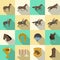 Horseback riding flat shadows icons set