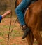 Horseback riding lessons.