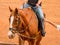 Horseback riding lessons