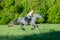 Horseback riding. Woman riding a horse in summertime outdoors. Human on horse runs fast in field.