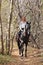 Horseback woman riding a horse in autumn yellow woods