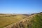 Horsedale grazing meadows