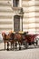 Horsedrawn carriage