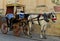 Horsedrawn carriage in Valletta Malta