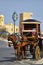 Horsedrawn cart in Valletta Malta