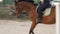 Horsegirl rides gallop on a brown horse in the outdoors sand arena. Competitive rider training dressage in manege