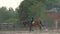 Horsegirl rides gallop on a brown horse in the outdoors sand arena. Competitive rider training dressage in manege