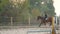 Horsegirl rides trot and gallop on a brown horse in the outdoors sand arena. Competitive rider training dressage in