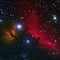 Horsehead and flaming tree nebula in space