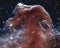 The Horsehead Nebula in the constellation of Orion The Hunter