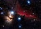 Horsehead Nebula and Flaming Tree in the Orion Constellation