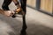 Horseman brushing horseshoe on hoof on horse