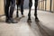 Horseman brushing horseshoe on hoof on horse