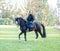 Horseman on horseback, a man walking in a village in Germany