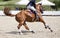 Horseman on its steed at equestrian show