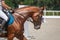 Horseman rides on the chestnut horse rides on a hippodrome close-up