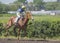 Horseman rides on the racetrack on the opening day