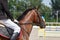 Horseman rides on the sorrel horse close up against the background of obstacles