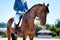 Horseman wearing special uniform resting while sitting on horse