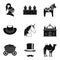 Horsemanship icons set, simple style