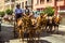 Horsemen and carriages at the Feria de Malaga