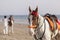 Horsemen in Karachi Beach, Pakistan