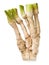 Horseradish.