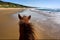 Horseriding on beach
