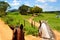 Horseriding in Vinales