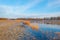 Horses along the shore of a frozen lake