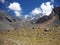 Horses in Argentinian Andes