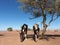 Horses in the arid desert in Santiago del Estero