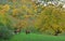 Horses in Armenian forest in autumn - Tourism of Armenia