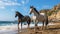 Horses on the beach in Algarve region, Portugal