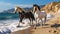 Horses at the beach in Crete, Greece, Europe