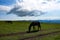 Horses on the Bermamyt plateau in the Karachay-Cherkess Republic, Russia.