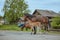 Horses Brown outdoors farm countryside close-up domestic cute