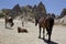 Horses in Cappadocia travel Turkey