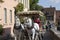 Horses and carriage on sightseeing tour with well preserved houses in background