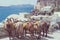 Horses and donkeys on the island of Santorini - the traditional transport for tourists.
