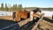 Horses eating grass. Well-groomed beautiful strong horse chewing hay