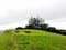 Horses on farm @ Saddleback Mountain, Kiama