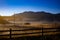 horses on the fence morning Karpaty