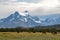 Horses in front of Cerro Paine Grande, Torres del Paine national park, Chile