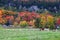 Horses gazing in fall colors of Niagara escarpment