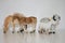Horses, Goat and Sheep - Plastic toys close-up