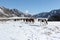 The horses going from a pasture on snow among mountains