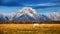 Horses in the Grand Teton National Park