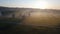 Horses graze in a clearing with fog and mills. rural romantic scene. dawn and mood. eco places of Ukraine. Video aeriel