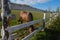 Horses graze on a farm